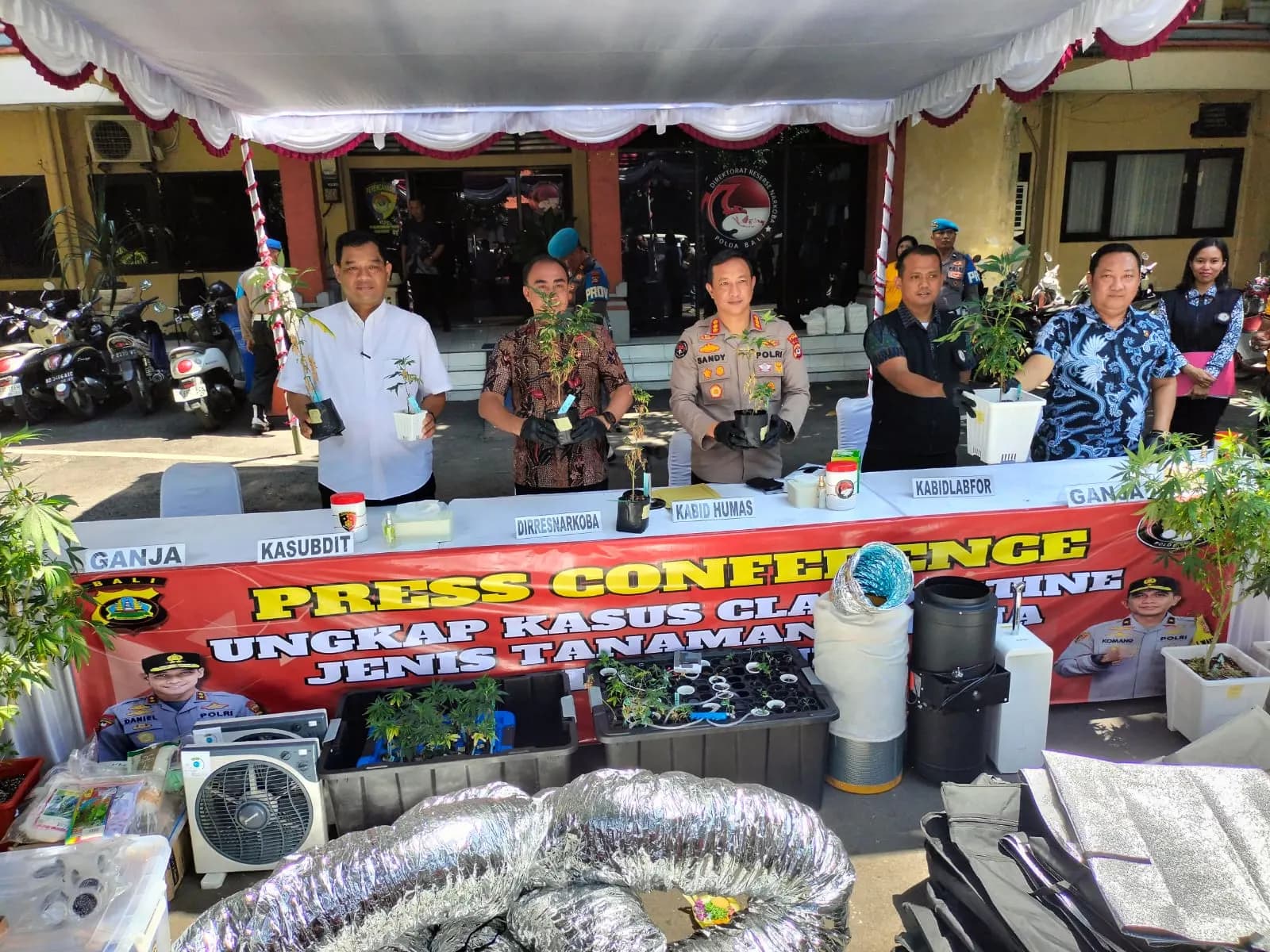Grebek Kebun Ganja Polda Bali Amankan Dua WNA